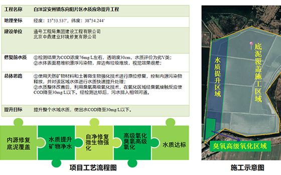 白洋淀安州镇水质提升治理项目