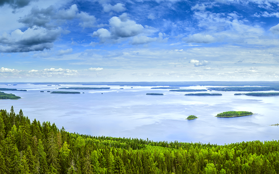 引起水体黑臭的因素