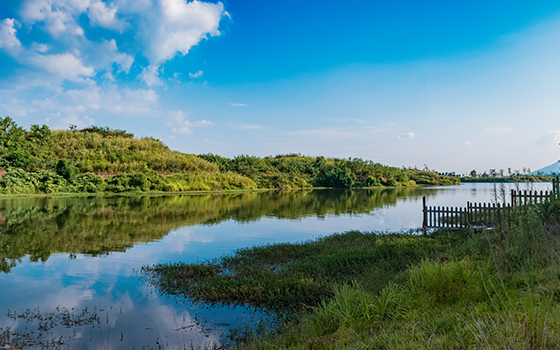 如何消除总氮水质自动分析仪测定的干扰？